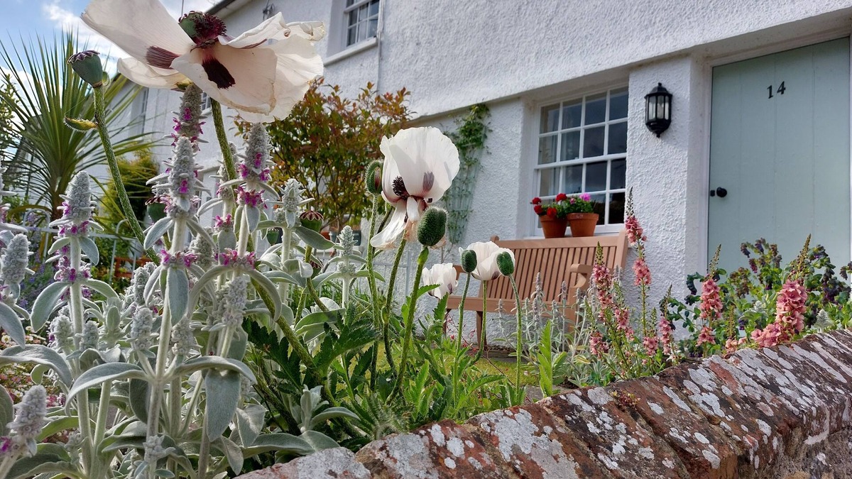 Beautiful cosy Rosebud Cottage in picturesque Steyning