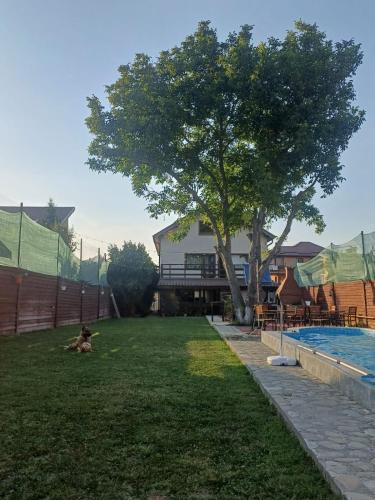 La Plantă-Therme Airport Bucharest