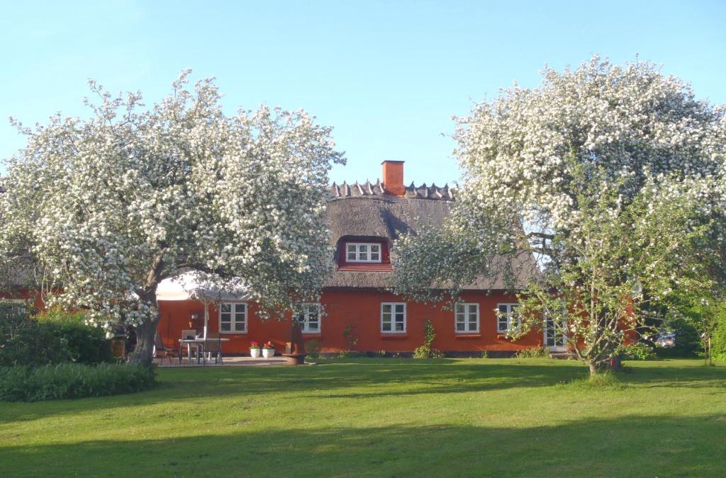 SoegaardensBB