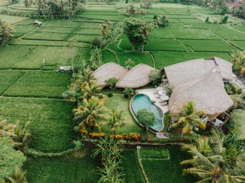 Villa Omah Padi Ubud by Adam Jyota Management
