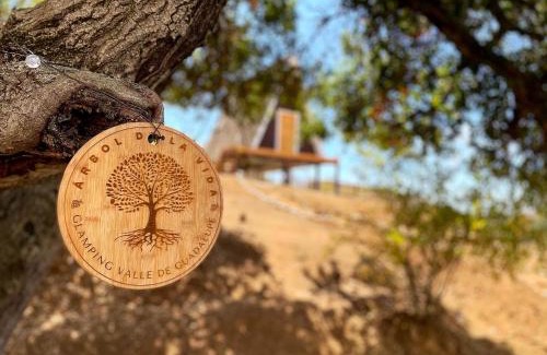 San Antonio de las Minas Other | Unforgettable Stay at Árbol de la Vida Glamping, Valle de Guadalupe