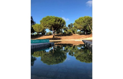 Vale de Mulheres House | Cozy Árvore dos Sonhos Tree House with Spa & Breakfast
