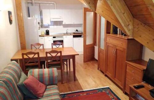 Formigal Apartment | Top-Rated Ático Elurra in Formigal: Family-Friendly Retreat