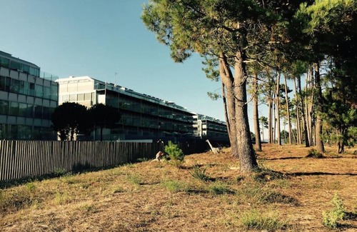 Isla de Arosa Apartment | Beachfront Retreat: Pool, Hot Tub & Ocean Views Await