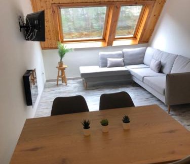 Canfranc-Estacion Apartment | Discover Ático Europa: Family-Friendly in Canfranc Estación