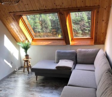 Canfranc-Estacion Apartment | Discover Ático Europa: Family-Friendly in Canfranc Estación