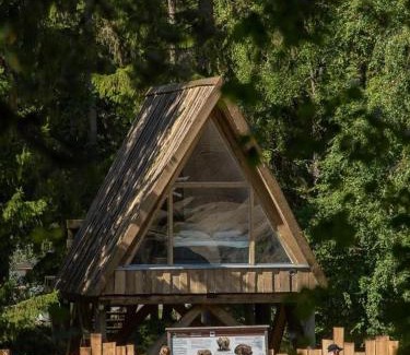 Ahtari Villa | Discover Ähtäri Zoo Villa Ursus: Highly Rated Retreat