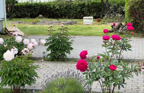 Andalsnes House | Discover Åndalsnes Guesthouse: Family-Friendly Retreat