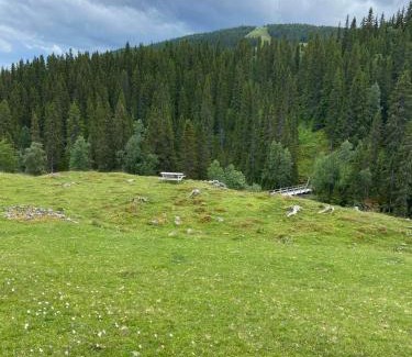 Are Apartment | Family-Friendly Åreskutans Mountain Lodge in Huså