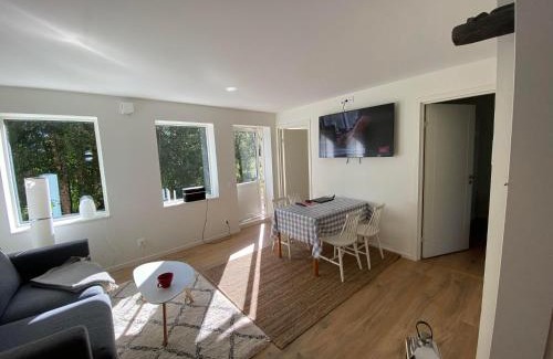 Are Apartment | Family-Friendly Åreskutans Mountain Lodge in Huså