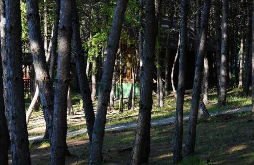 Mengen Cabin | Discover Çampınarı Doğa Evleri & Restaurant for Families