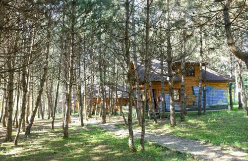 Mengen Cabin | Discover Çampınarı Doğa Evleri & Restaurant for Families