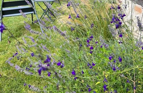 Jouy-le-Potier House | Discover Nature at Évasion en Sologne: Tennis & Billard