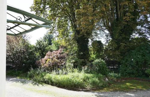 Mulhouse Apartment | Escape to ÉVASION JUNGLE: Wifi & Netflix Await!