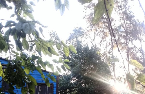 Partido de Tigre Cottage | Cozy Cabin by Río Espera: Private Dock & Scenic Views