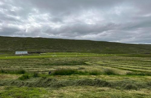 Stadur Villa | Discover Óspaksstaðir: Newly Renovated Farm Retreat