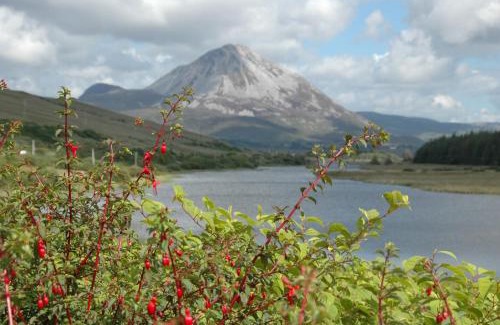 Gortahork Hotel | Discover Óstán Loch Altan: Family-Friendly Retreat Awaits