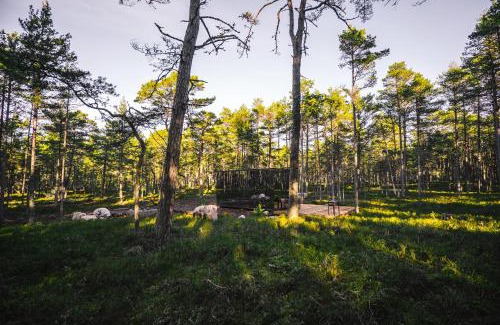 Laane-Nigula Parish Apartment | Experience ÖÖD Hötels Rooslepa - Pet-Friendly Retreat with Sauna