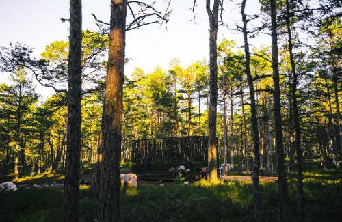 Laane-Nigula Parish Apartment | Experience ÖÖD Hötels Rooslepa - Pet-Friendly Retreat with Sauna
