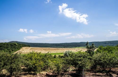 Szar Apartment | Öregtölgy Apartman: Family-Friendly Getaway with High Ratings