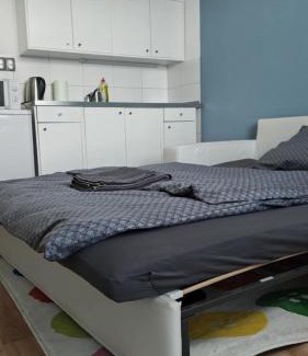 Vranov nad Toplou Apartment | Útulná Garsónka 5