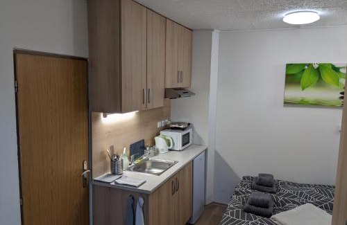 Brno-Lisen Apartment | Cozy Studio Near Mariánské Údolí in Brno - Líšni