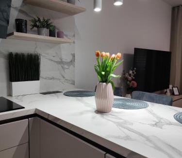 Rajecke Teplice Apartment | Guest Rated 9.9: Nový Útulný Apartmán Katka for Families
