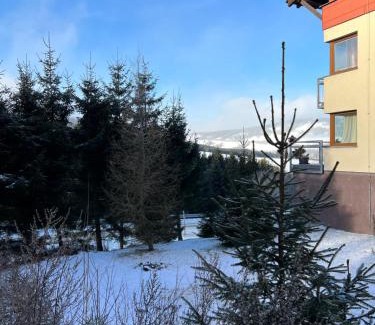 Loucna Pod Klinovcem Apartment | Cozy One-Room Apartment in Alpine Style on Klínovec