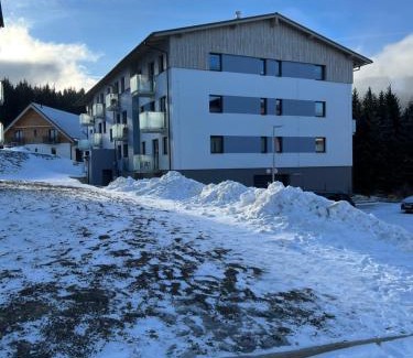 Loucna Pod Klinovcem Apartment | Cozy One-Room Apartment in Alpine Style on Klínovec