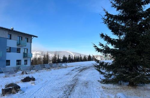 Loucna Pod Klinovcem Apartment | Cozy One-Room Apartment in Alpine Style on Klínovec