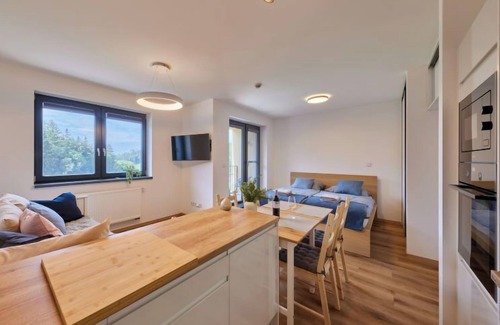 Cerny Dul Apartment | Discover Comfort at Černý Důl by Interhome