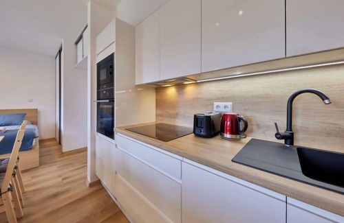Cerny Dul Apartment | Discover Comfort at Černý Důl by Interhome
