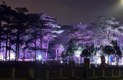 Da Lat Villa | Discover Đà Lạt Villa 84 on Hồ Xuân Hương Lake