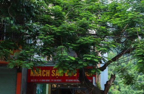 Cao Bang Hotel | Discover Đức Khôi Hotel: Family-Friendly & Accessible Stay