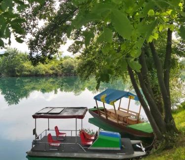 Mali Radic Apartment | Pet-Friendly Šadrvan Una Apartment with Ocean View
