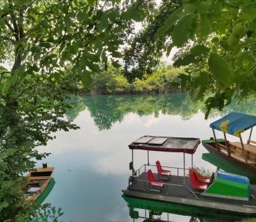 Mali Radic Apartment | Pet-Friendly Šadrvan Una Apartment with Ocean View