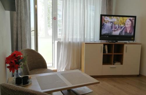 Siauliai City Center Apartment | Top-Rated Apartments in Šiauliai, Lithuania Await You