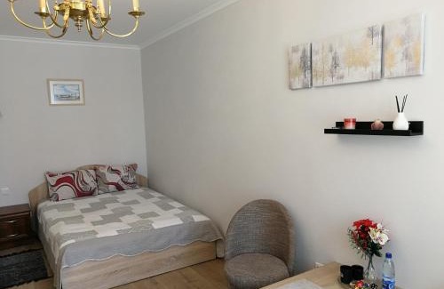Siauliai City Center Apartment | Top-Rated Apartments in Šiauliai, Lithuania Await You