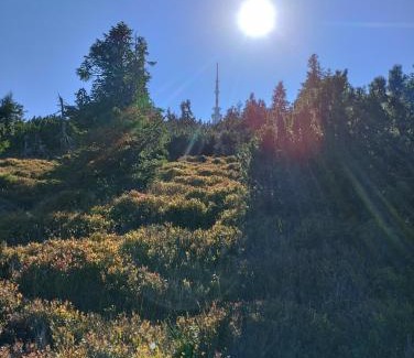 Jesenik House | Pet-Friendly Escape at Štempel Karol - Family Welcoming Stay