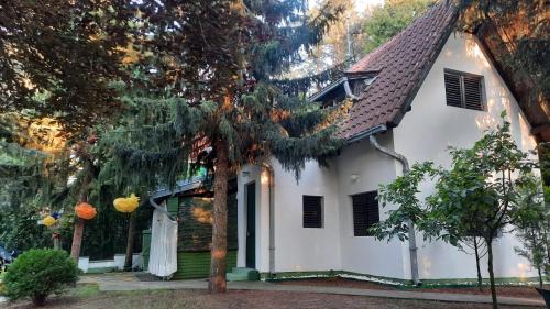 Banatski Karlovac House | Guest Rated 10/10: Šumska kuća Atina with Oceanfront Views