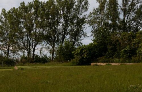 Zarnowiec House | Exceptional Gorzelnia w Żarnowcu: Pet & Child Friendly Stay