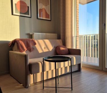 Mlyniska Apartment | Żurawie Stocznia