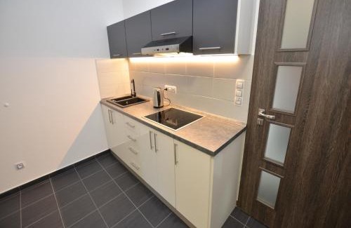 Spicak House | Cozy Holiday Home in Elezn Ruda - Pet & Child Friendly