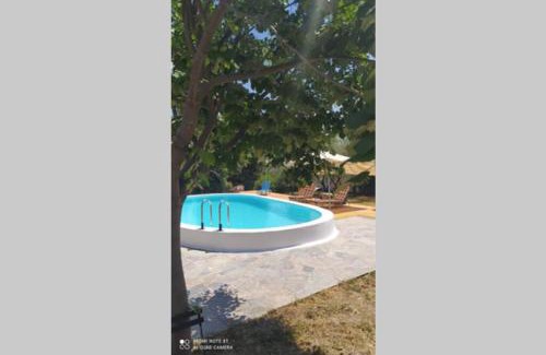 Dirfys-Messapia House | Experience Relaxation at ΑΡΧΟΝΤΙΚΟ ΣΤΟΥΣ ΠΡΟΠΟΔΕΣ