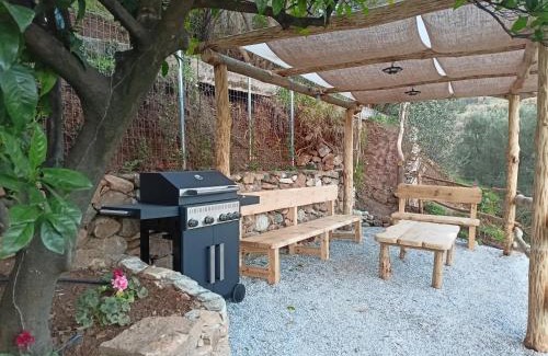 Zagora-Mouresi House | Discover Ελαιώνας - Solar Energy House: Pet & Child Friendly