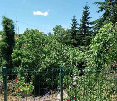 Arnaia Apartment | Guest Rated 10/10: Πραβιτάδικο with Restaurant & Family Fun