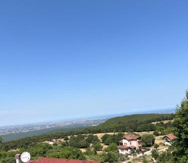 Dio-Olympos Hotel | Cozy Ψητοπωλείο Café with Pet-Friendly Rooms