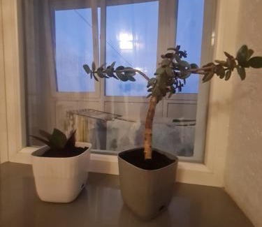 Lutsk Apartment | Апартаменти в Центрі, неподалік ЦУМа