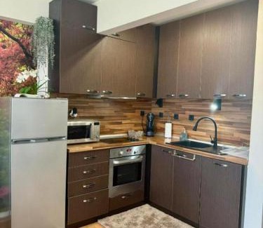 Sveti Vlas Apartment | Cozy Beachfront Two-Bedroom Apartment at Dani