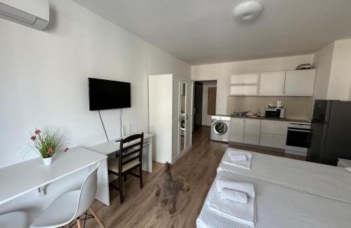 Sarafovo Apartment | Guest Apartments "Ekaterina" with Ocean View & Pet Friendly
